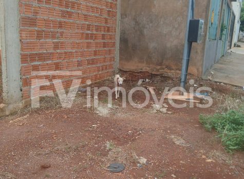 2007fe95-088c-4e67-b6ed-2ea1ccd6eda5