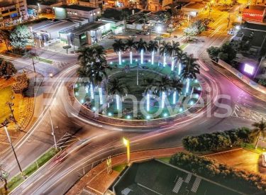 Tangara_da_Serra_luz