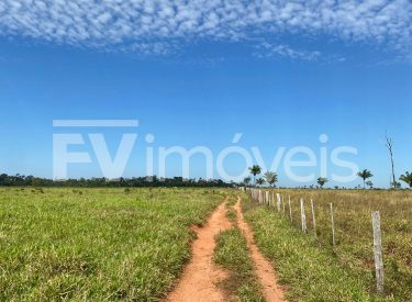 WhatsApp Image 2025-10-09 at 08.18.19 (1)